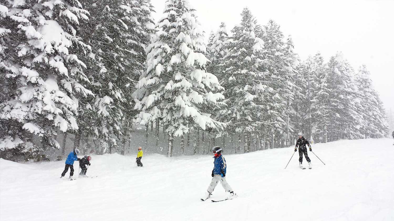 How Long Does It Take to Get Good at Skiing